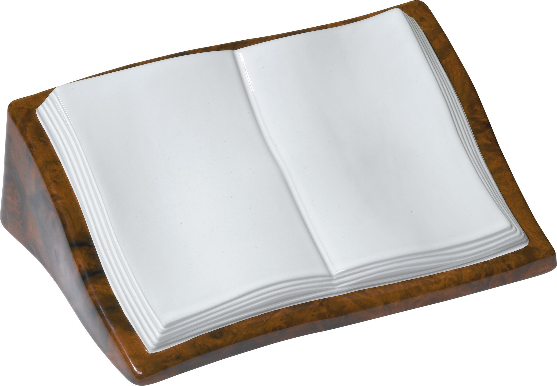 Articolo a terreno Libro con leggio radica