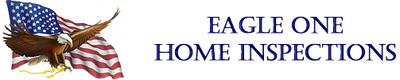 Logo for Eagle One Home Inspections: Bald eagle with American flag; text in blue.