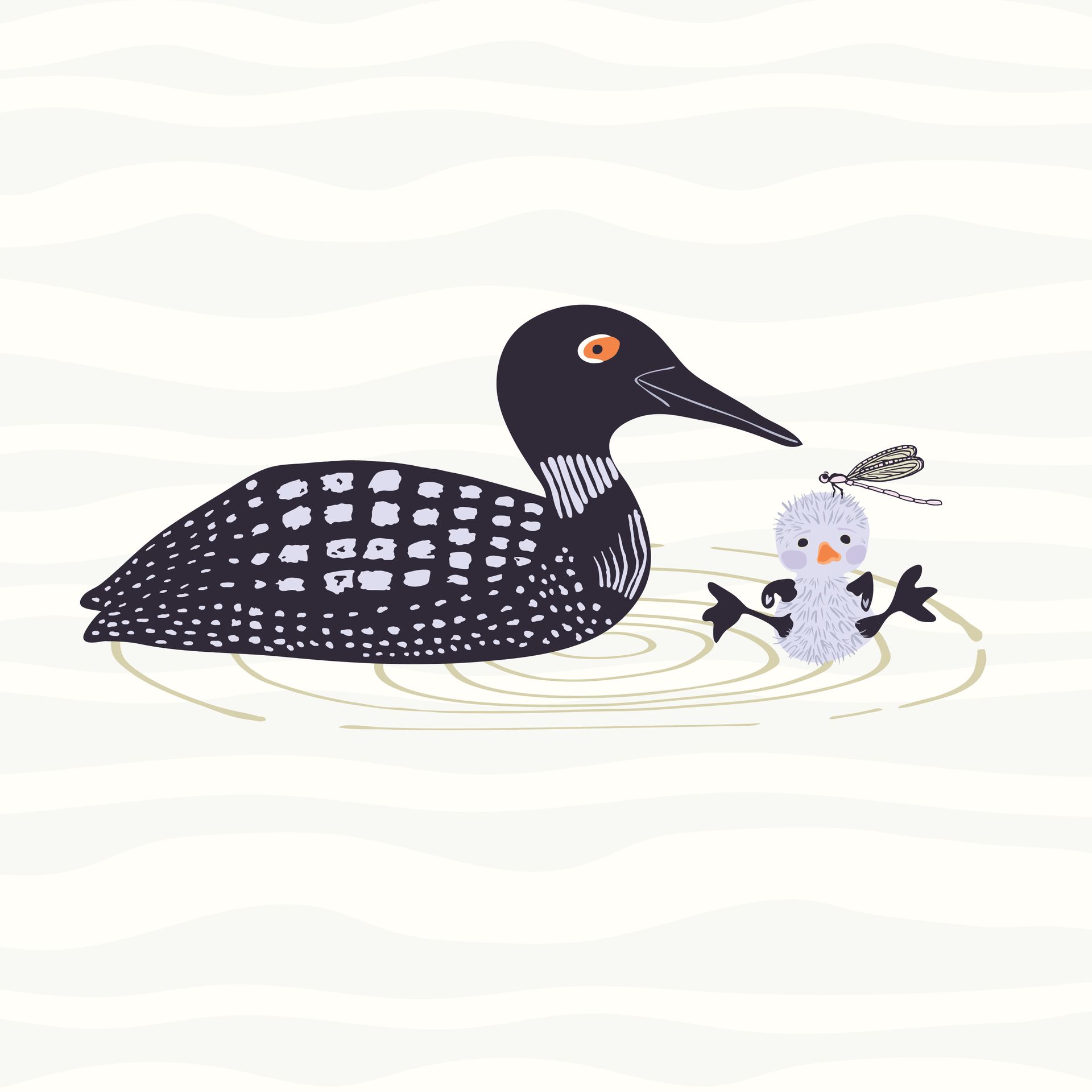 Loon River pattern in dawn