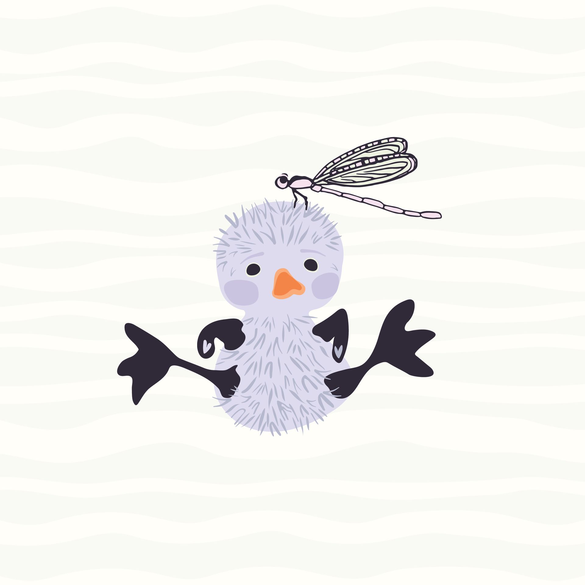 Chick pattern in dawn