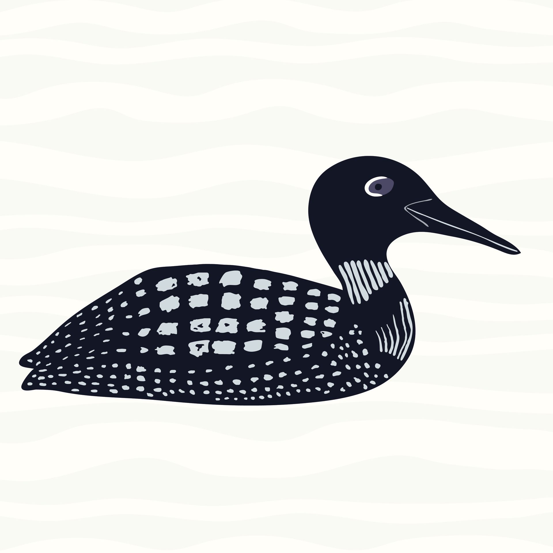 Loon pattern in moonlight
