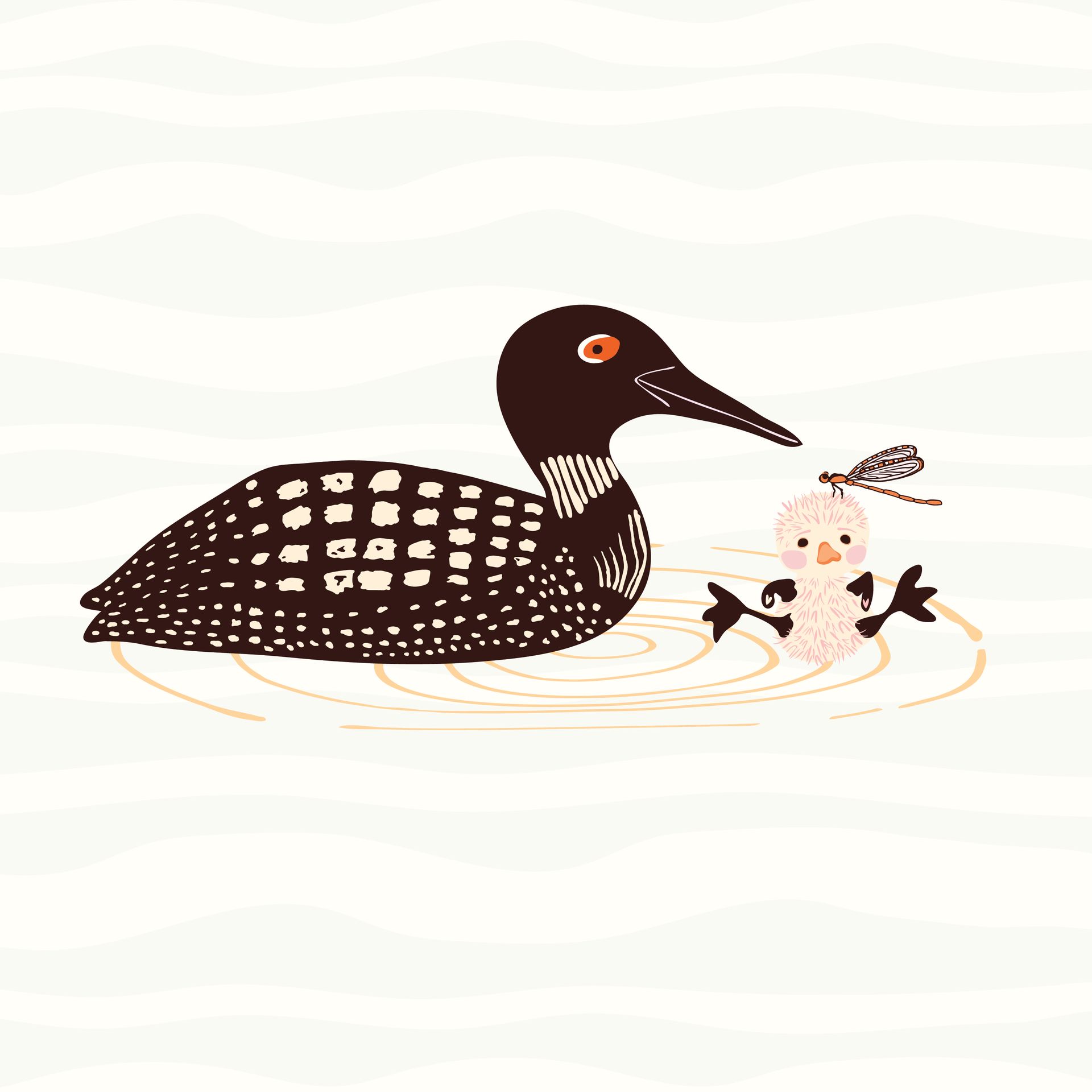 Loon River pattern in sunset