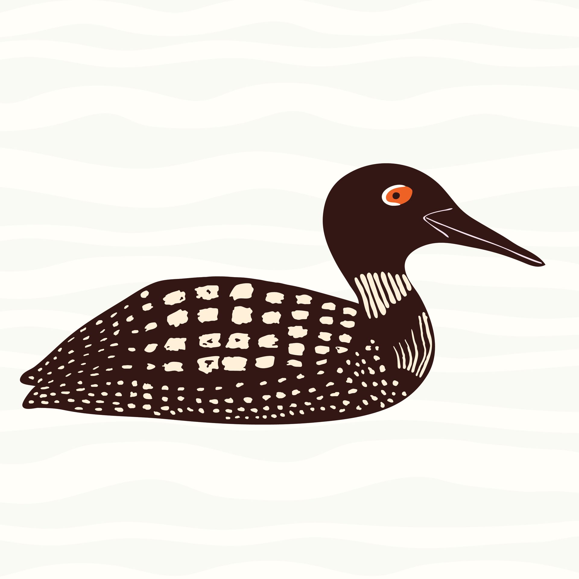 Loon pattern in sunset