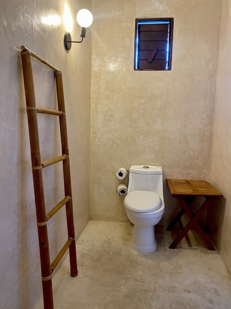 Small rustic bathroom with a toilet, wooden shelf, wall light, and a ladder leaning on the left wall.