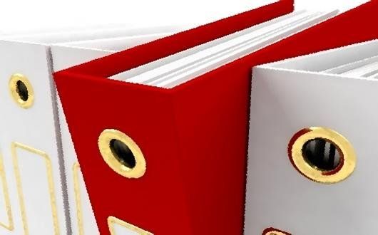 Ring binders containing files