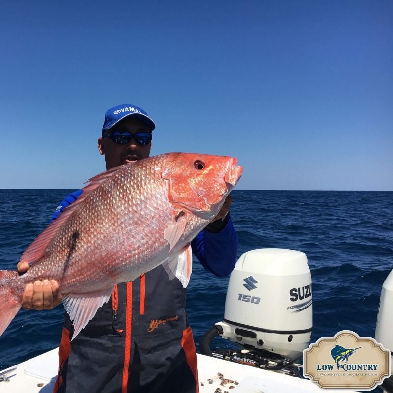 Angler on boat holding a large red fish on open ocean under a clear blue sky