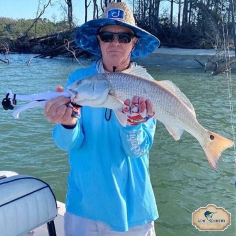 Angler in blue shirt and hat holds a large fish in shallow water near mangroves.