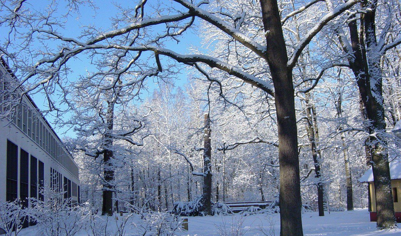 Winter Schorfheide