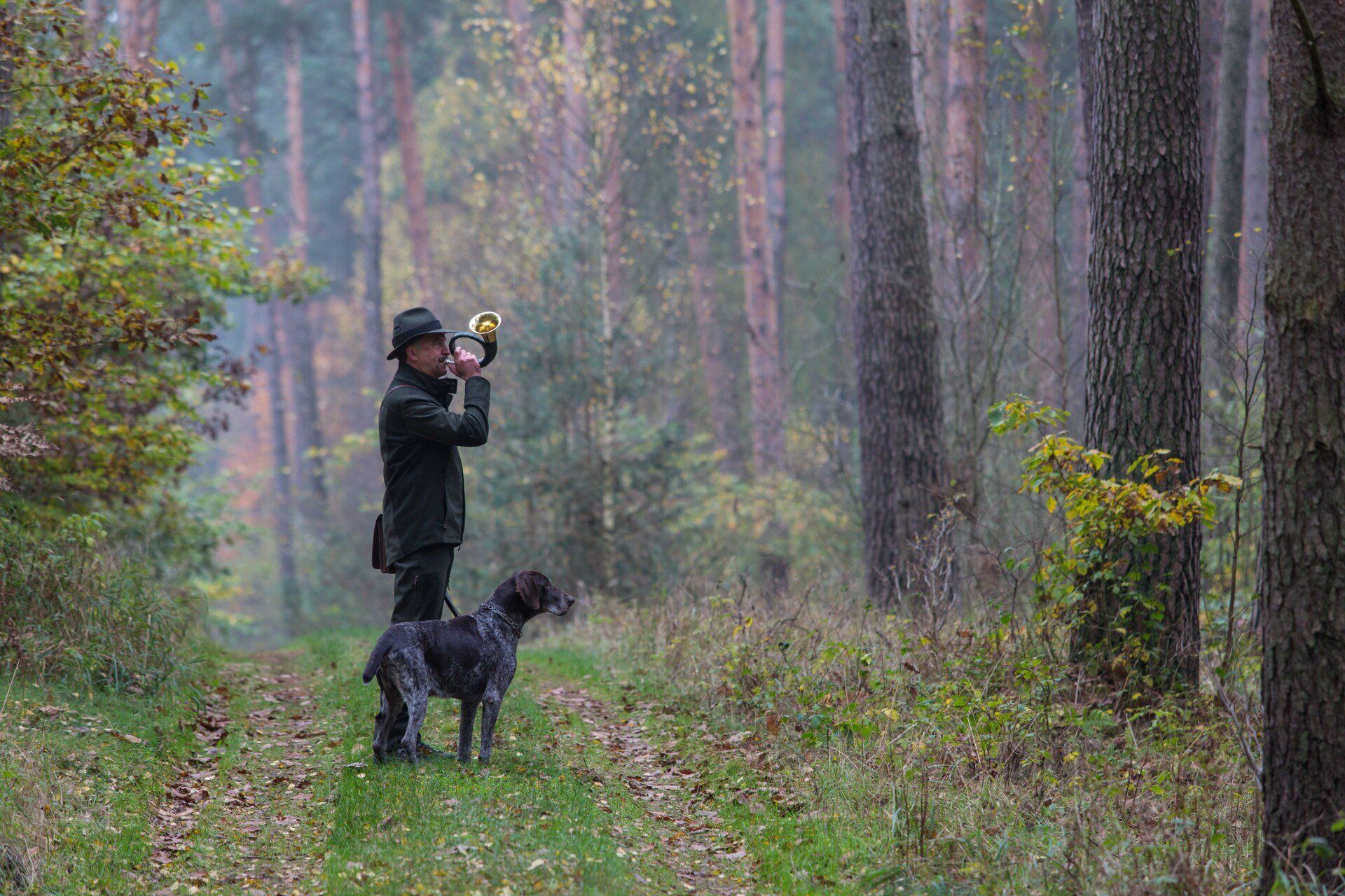 Jäger in grüner Jacke bläst mit Hund in einem nebligen Wald ins Horn.
