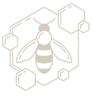Biene in wabenförmiger Kontur mit verbundenen sechseckigen Formen.
