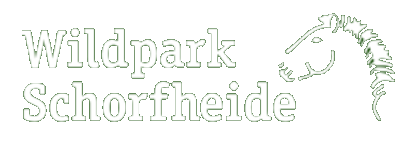 Ein weißer Schriftzug Wildparkschorfheide und skizzierter Pferdekopf