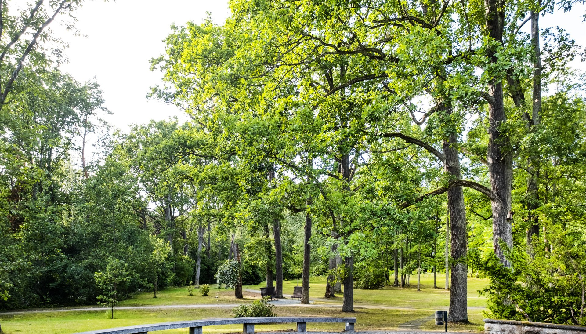 Park