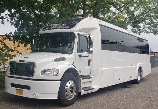A white bus is parked on the side of the road next to a tree.