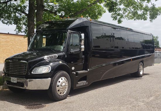 A large black bus is parked in a parking lot next to a tree.