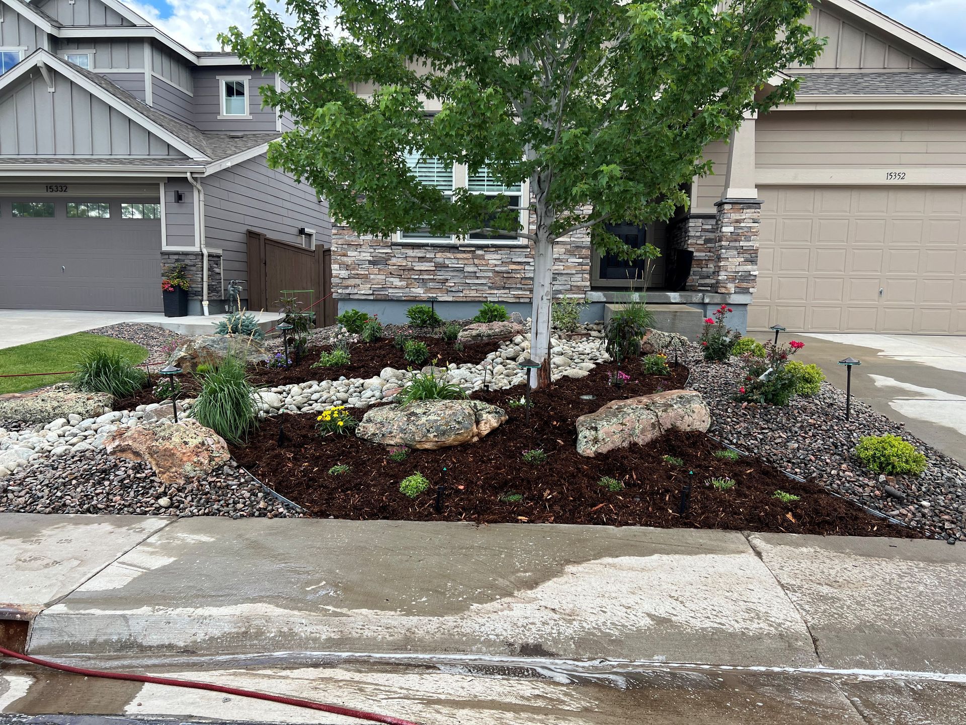 Front yard landscaping with a tree, rocks, and various plants in front of a house.