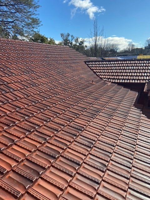 General Purpose roofing 2