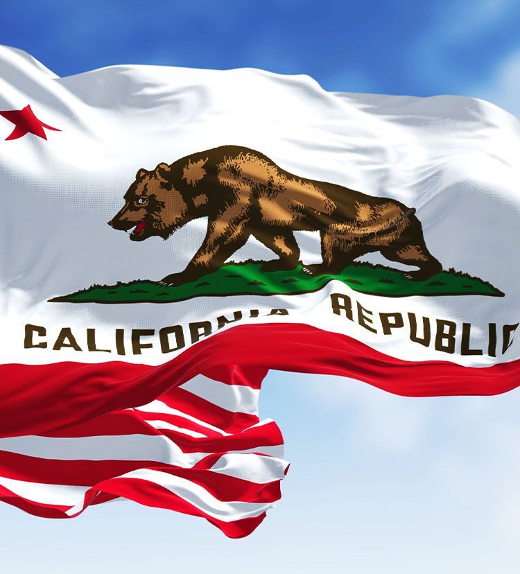 California state flag waving against a blue sky, with the bear emblem and red stripe visible