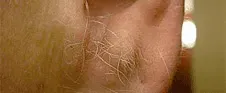 Men's Ear and Nose Waxing Men's Ear and Nose Waxing