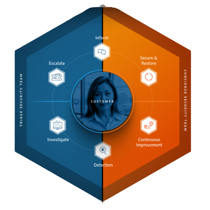 Artic Wolf Security Diagram