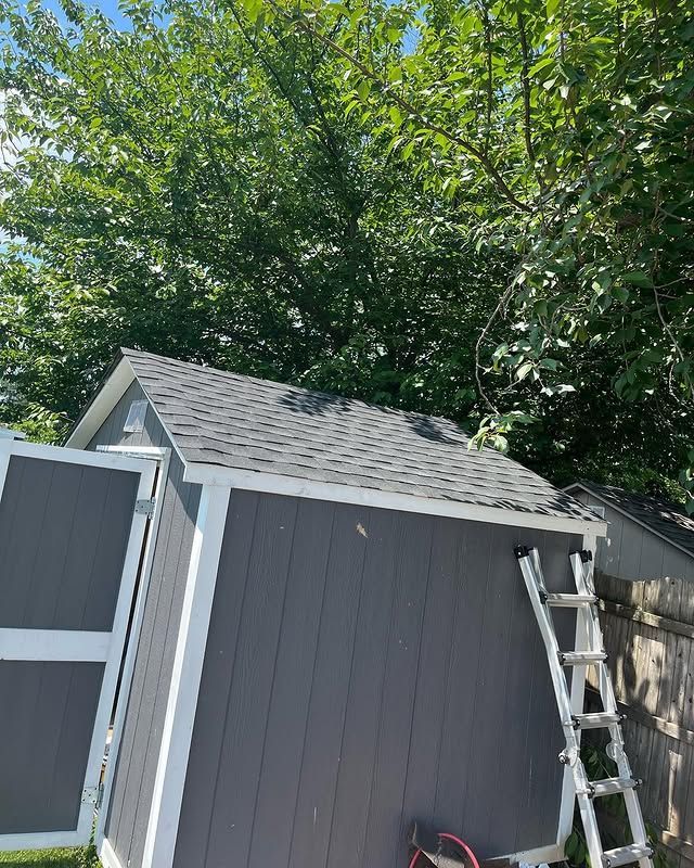 A shed with a ladder attached to it is surrounded by trees.