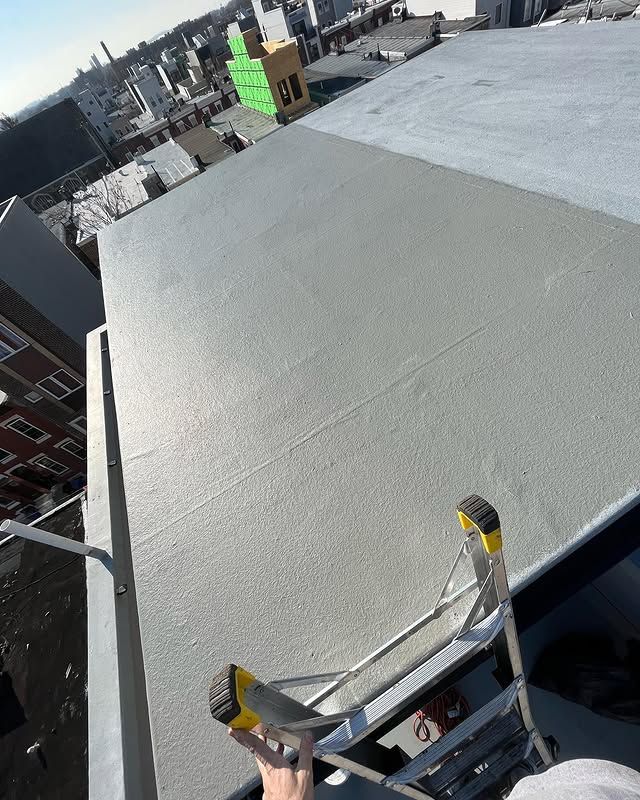A person is standing on a ladder on top of a roof.