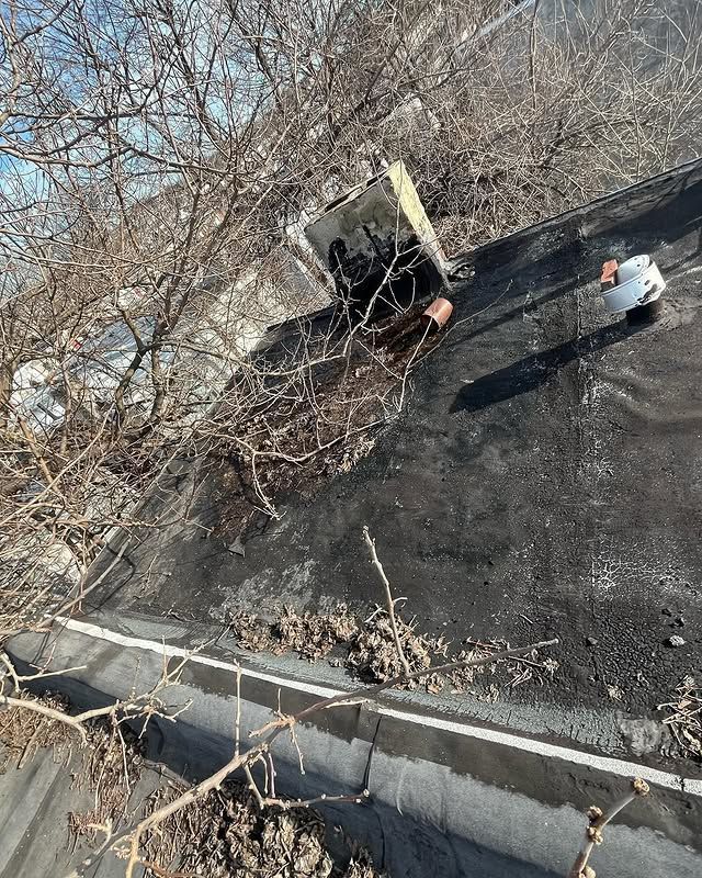 An aerial view of a roof with trees in the background.
