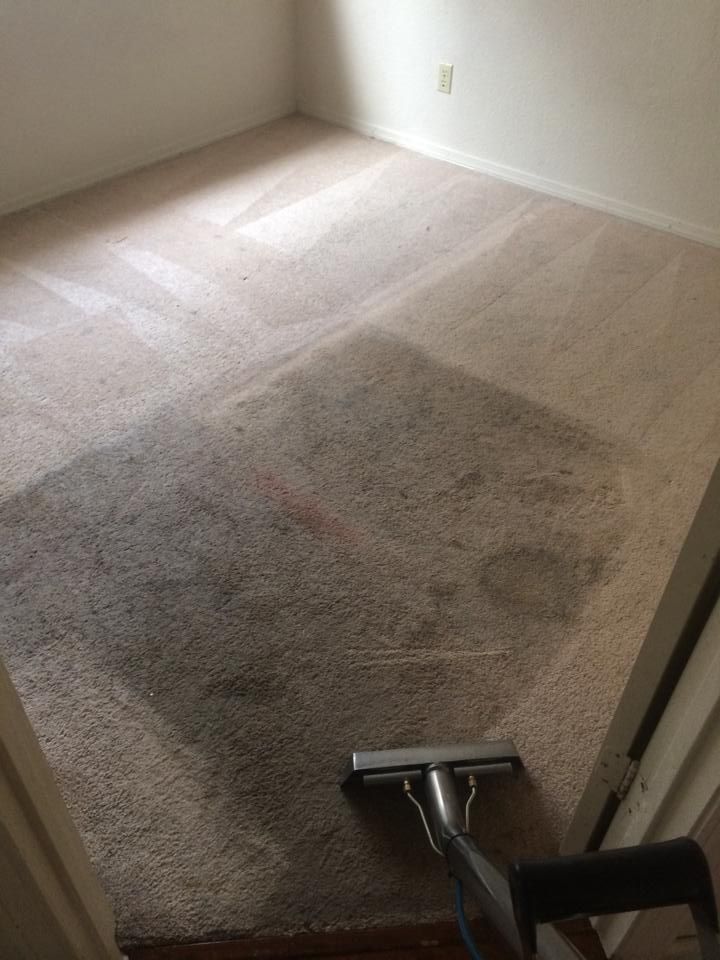 Carpet being cleaned with a machine. Dirty area contrasts with the cleaned section; beige carpet, room interior.