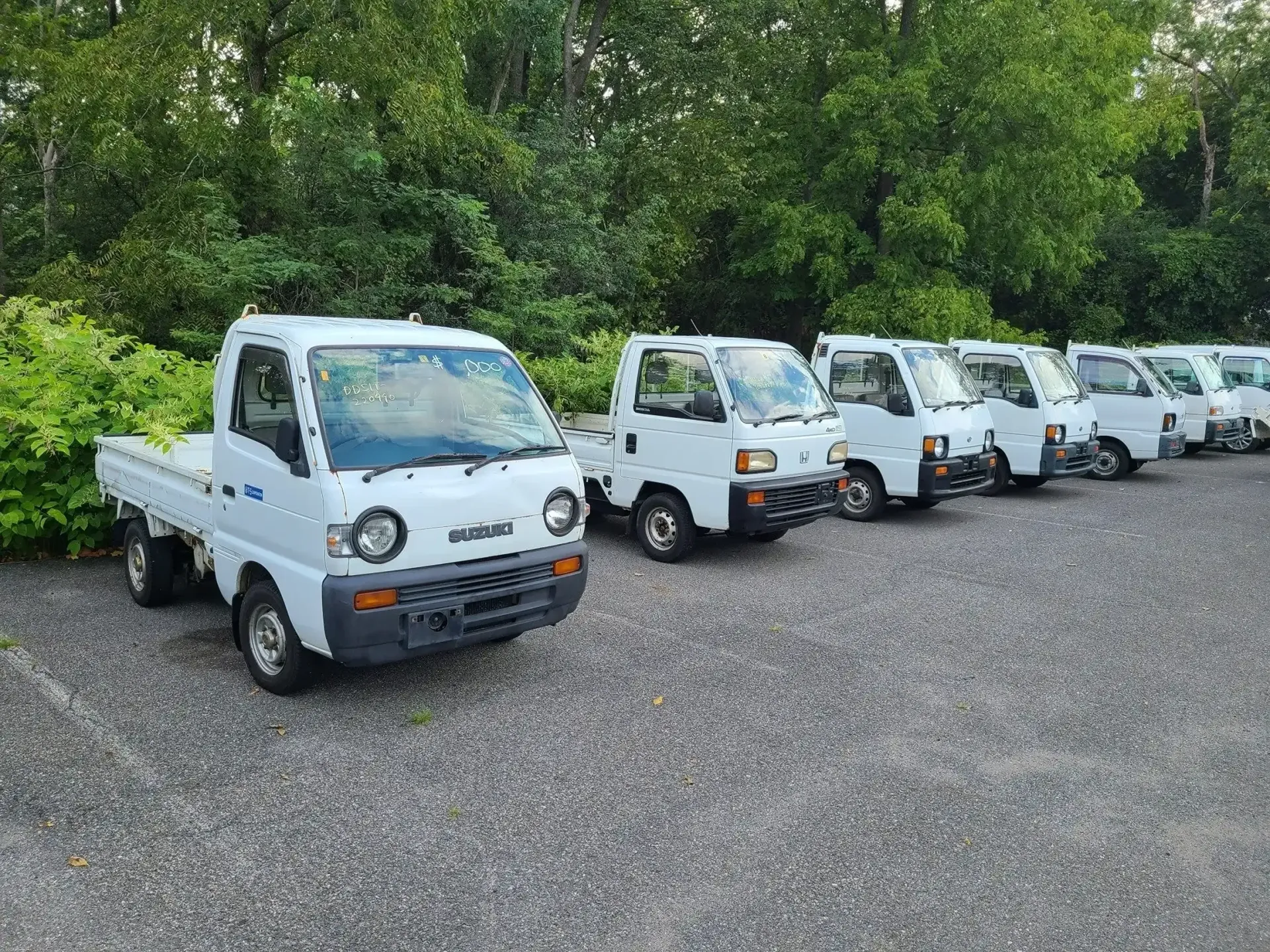 A row of small, white kei trucks parked on a gravel lot in front of trees.