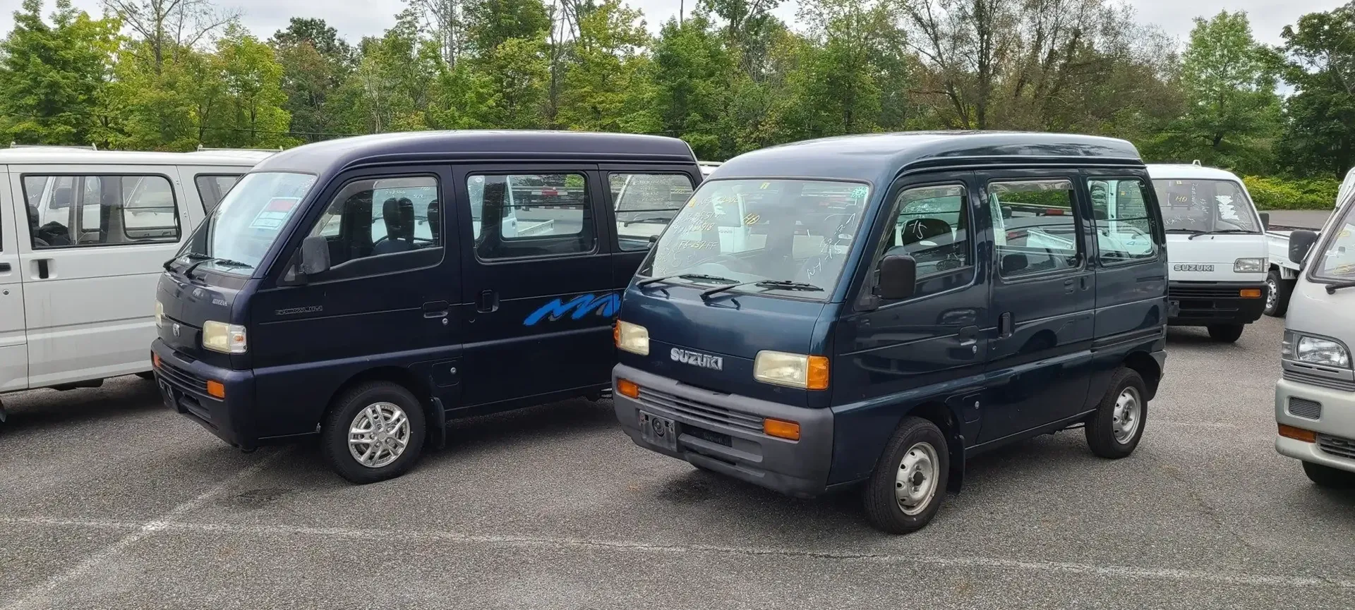 Two dark blue vans parked in a gravel lot filled with other small vehicles, surrounded by lush green trees.