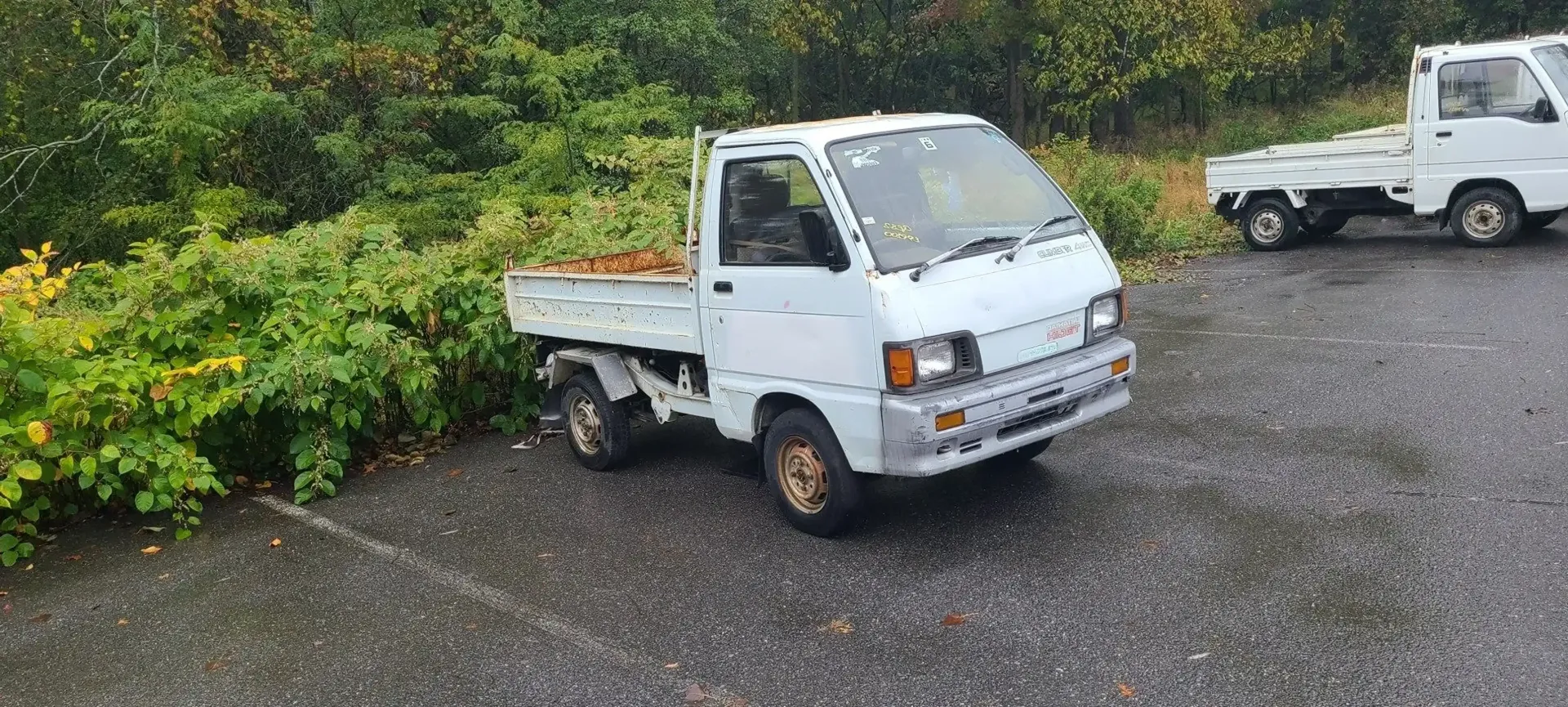 Two white kei trucks parked on a gravel lot next to green foliage.
