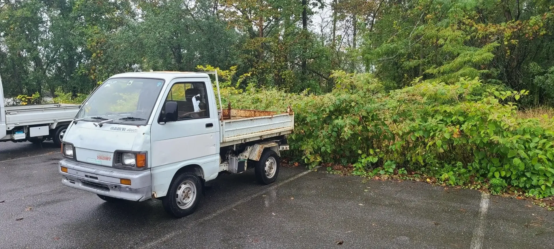 A small white pickup truck parked on an asphalt lot beside a thick, green overgrown hedge.