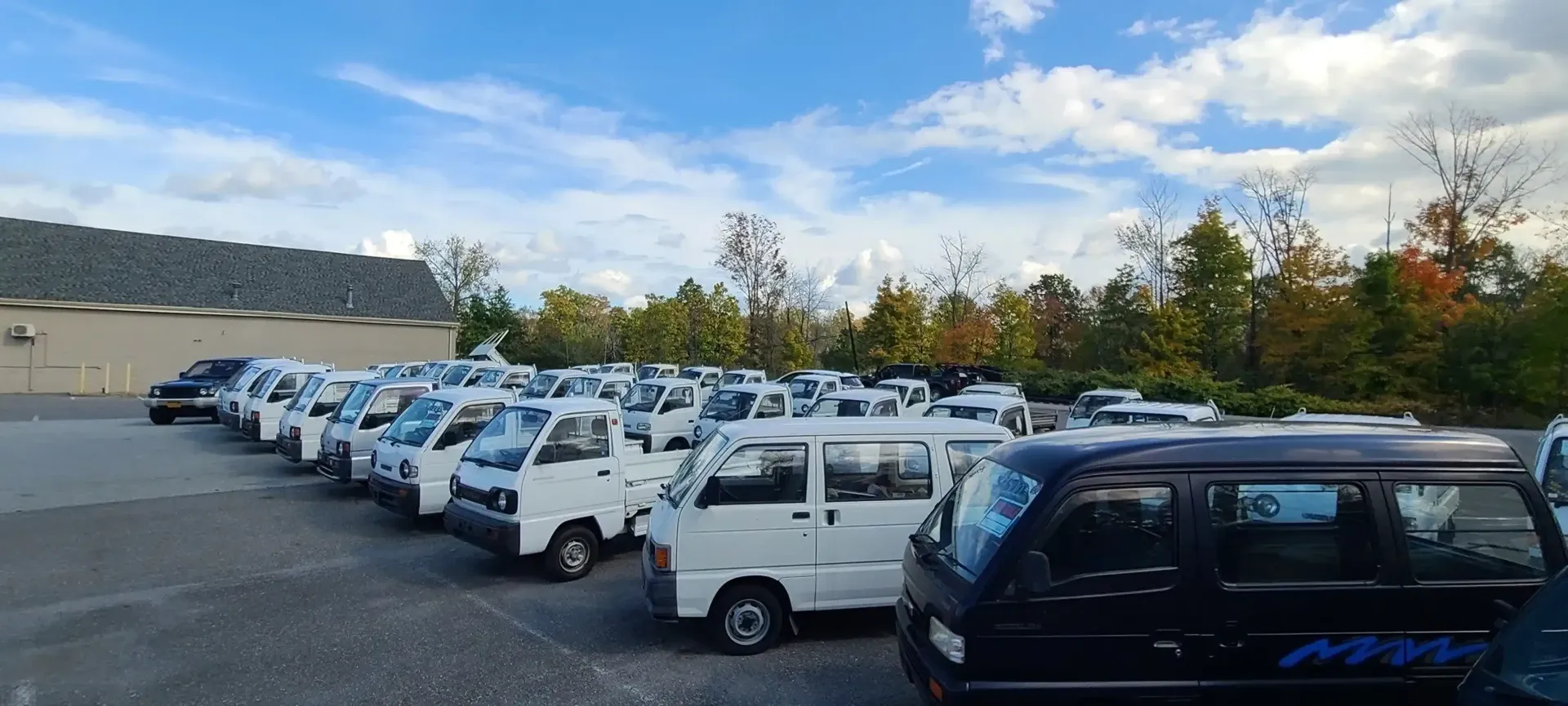 A lot filled with many white Japanese mini trucks and a black van parked on an asphalt surface under a blue sky.