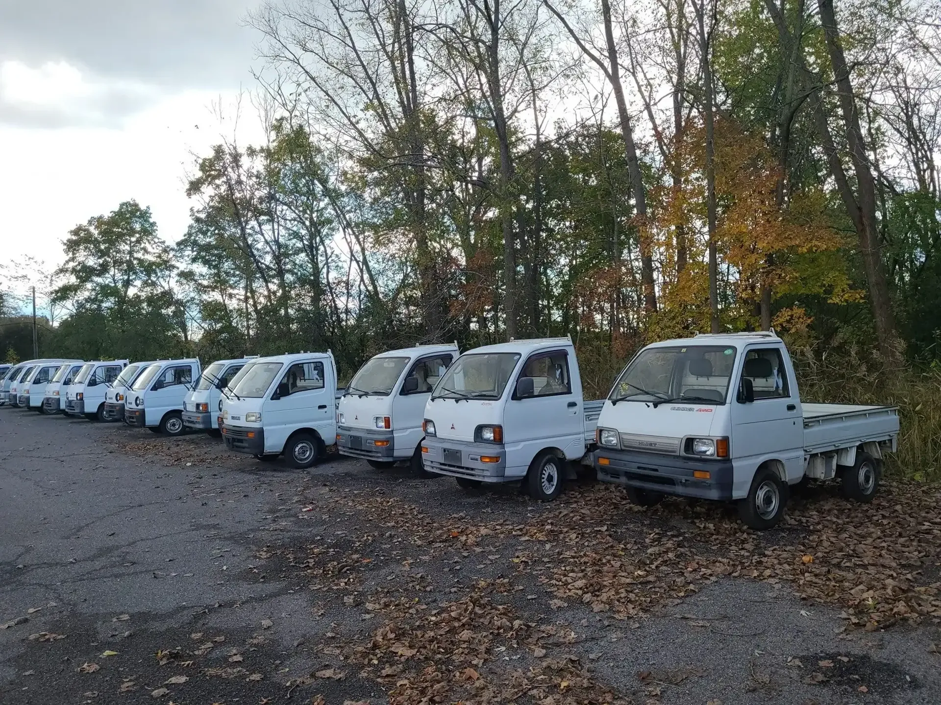 A long row of identical white compact pickup trucks parked on a gravel lot lined with trees during autumn.