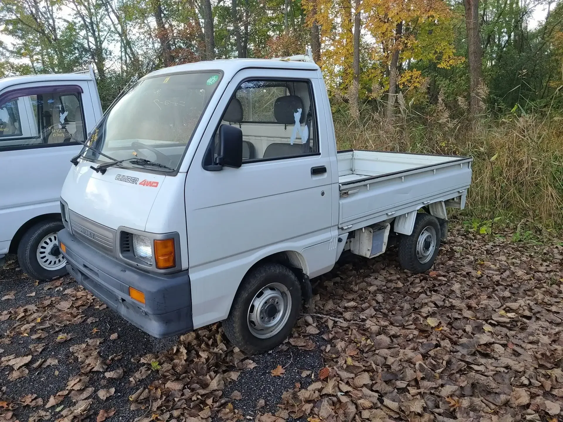 A white, single-cab Kei truck parked on a ground covered in autumn leaves, with another vehicle partially visible behind.