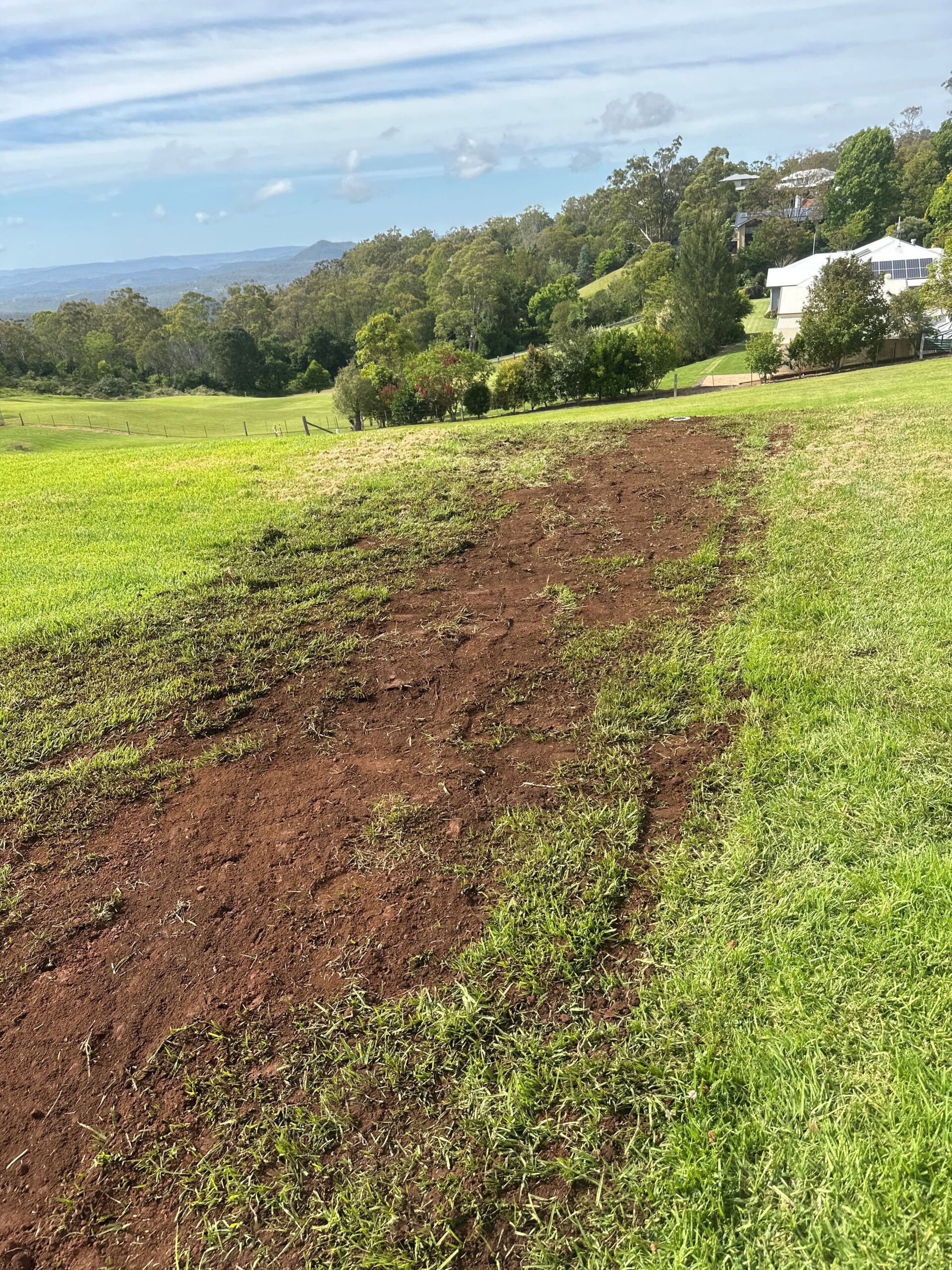 Every time it rains my yard floods & I am left with a boggy mess