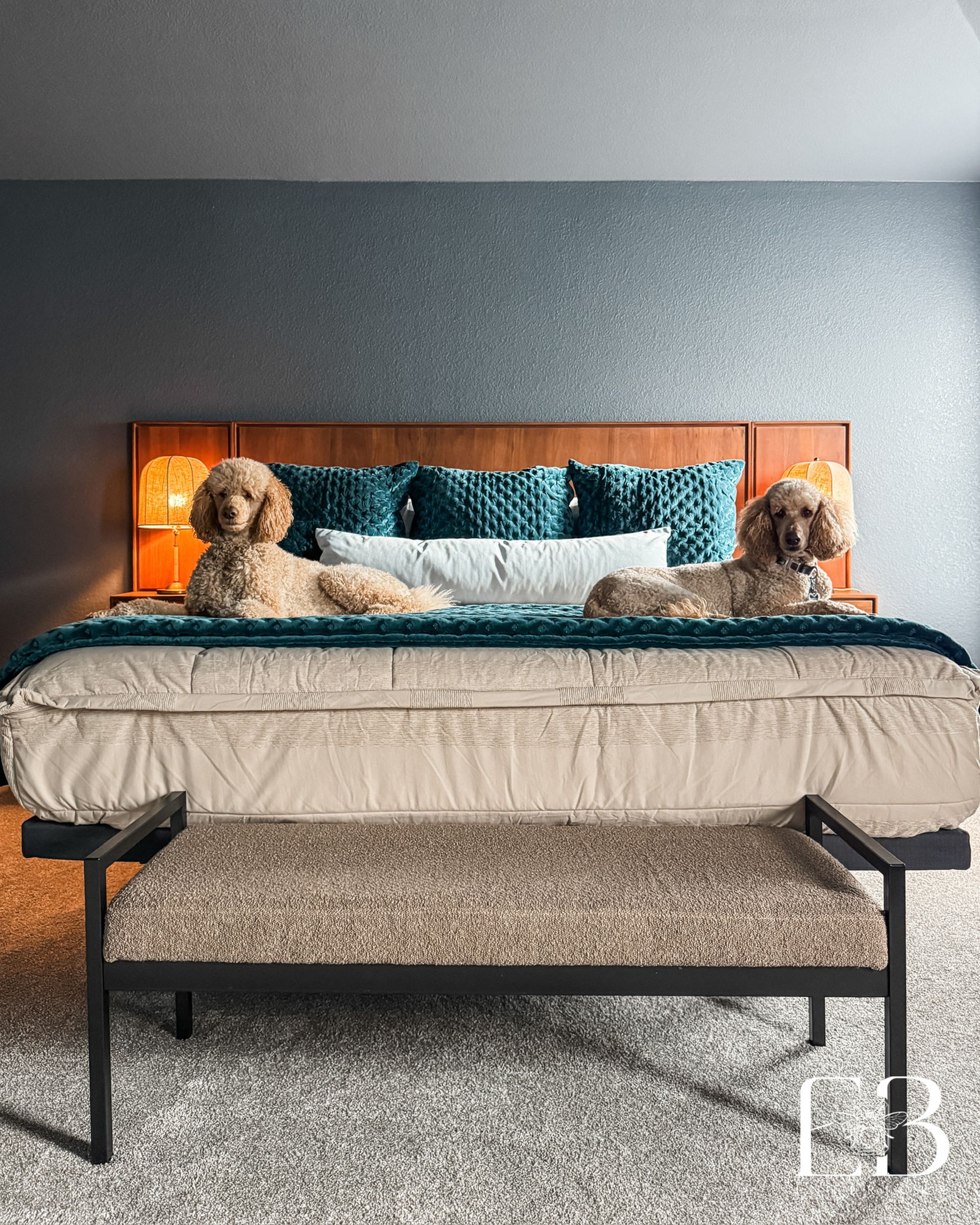 Two poodles on a king bed with teal velvet bedding in a dark-walled primary suite by Emerald Bee Interiors.