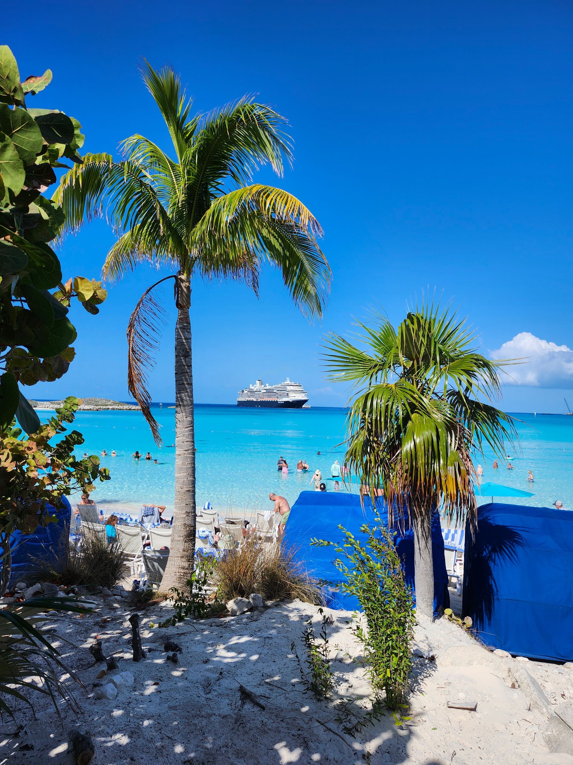 Beach scene with palm trees, turquoise water, blue sky, and a cruise ship.