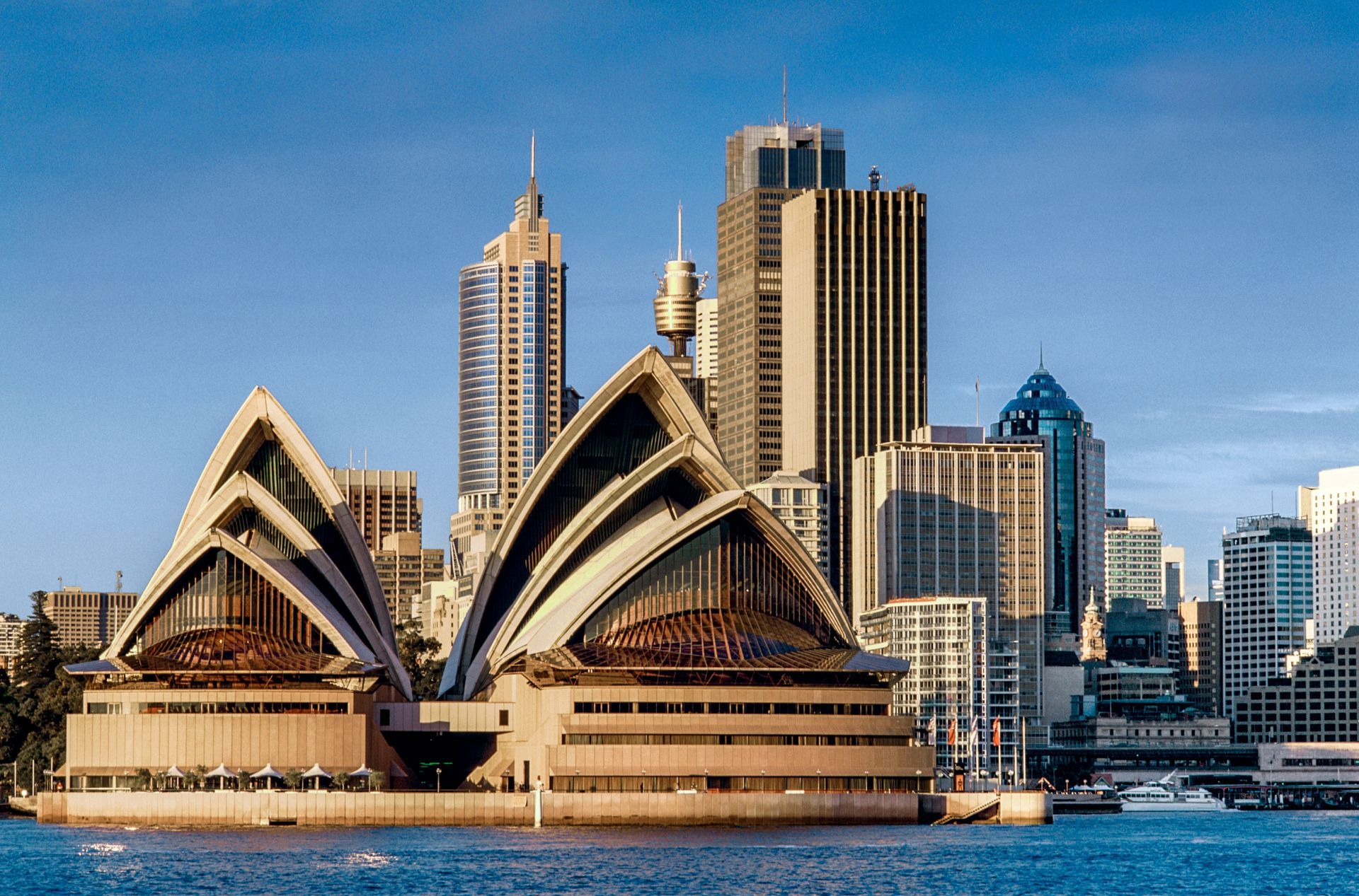 Sydney Opera House with city skyline against a clear blue sky.