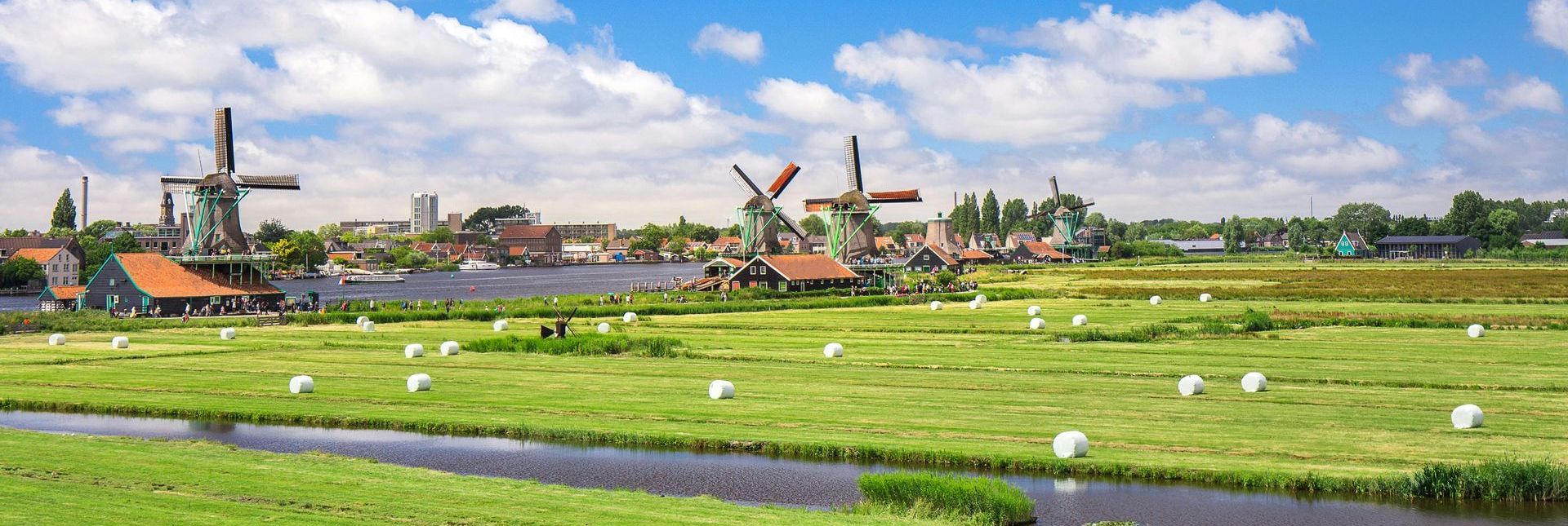 A lush green field with windmills in the background and a river in the foreground.