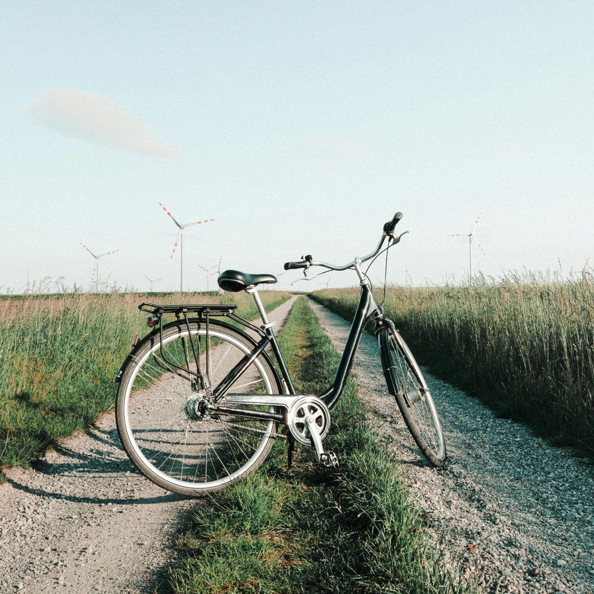 netherlands-countryside-bike