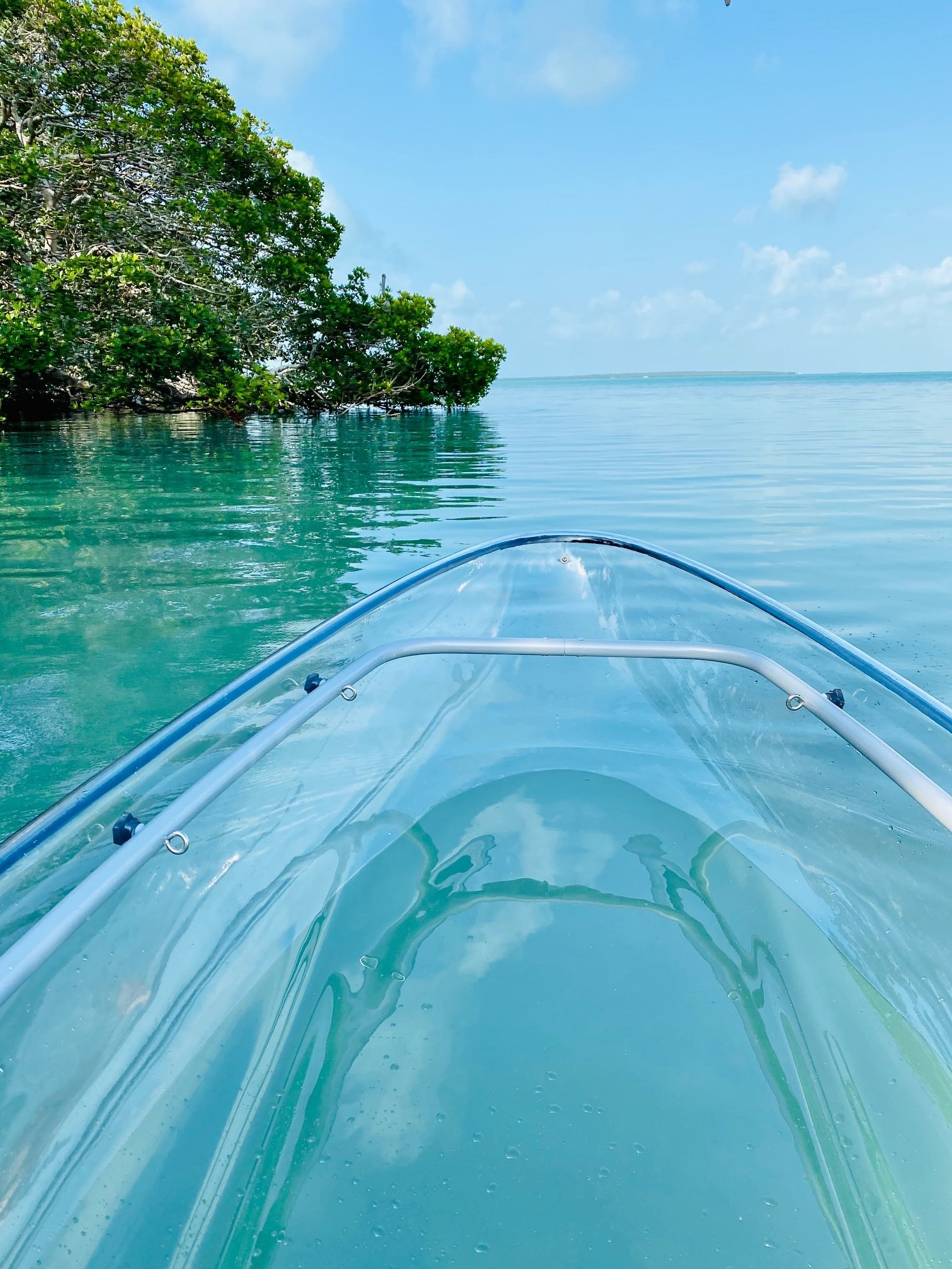 Clear Kayak Tours Islamorada FL I Can See Clear Kayaking