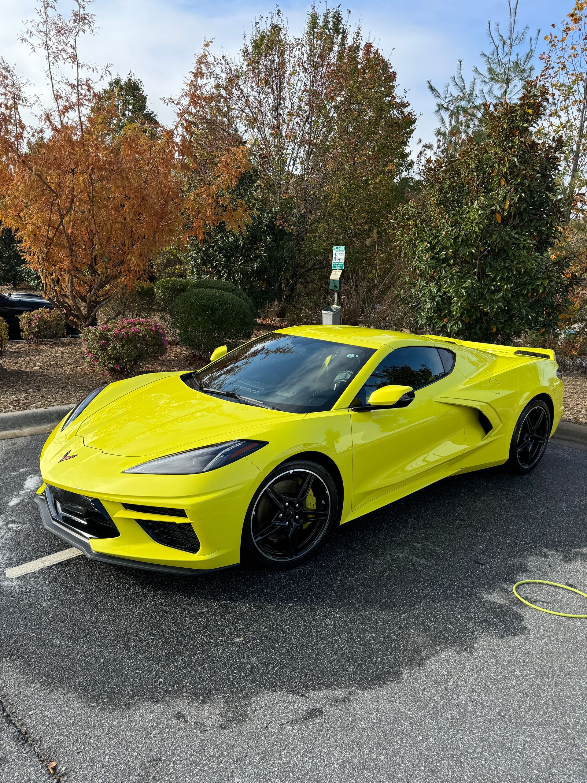 we specialize in detailing exotic sports cars in Asheville as well