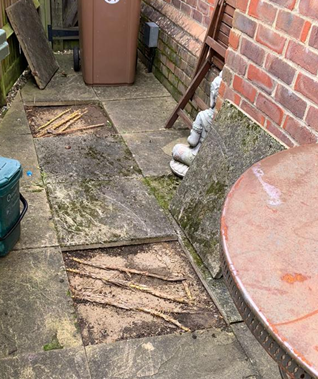 Damage through Japanese Knotweed