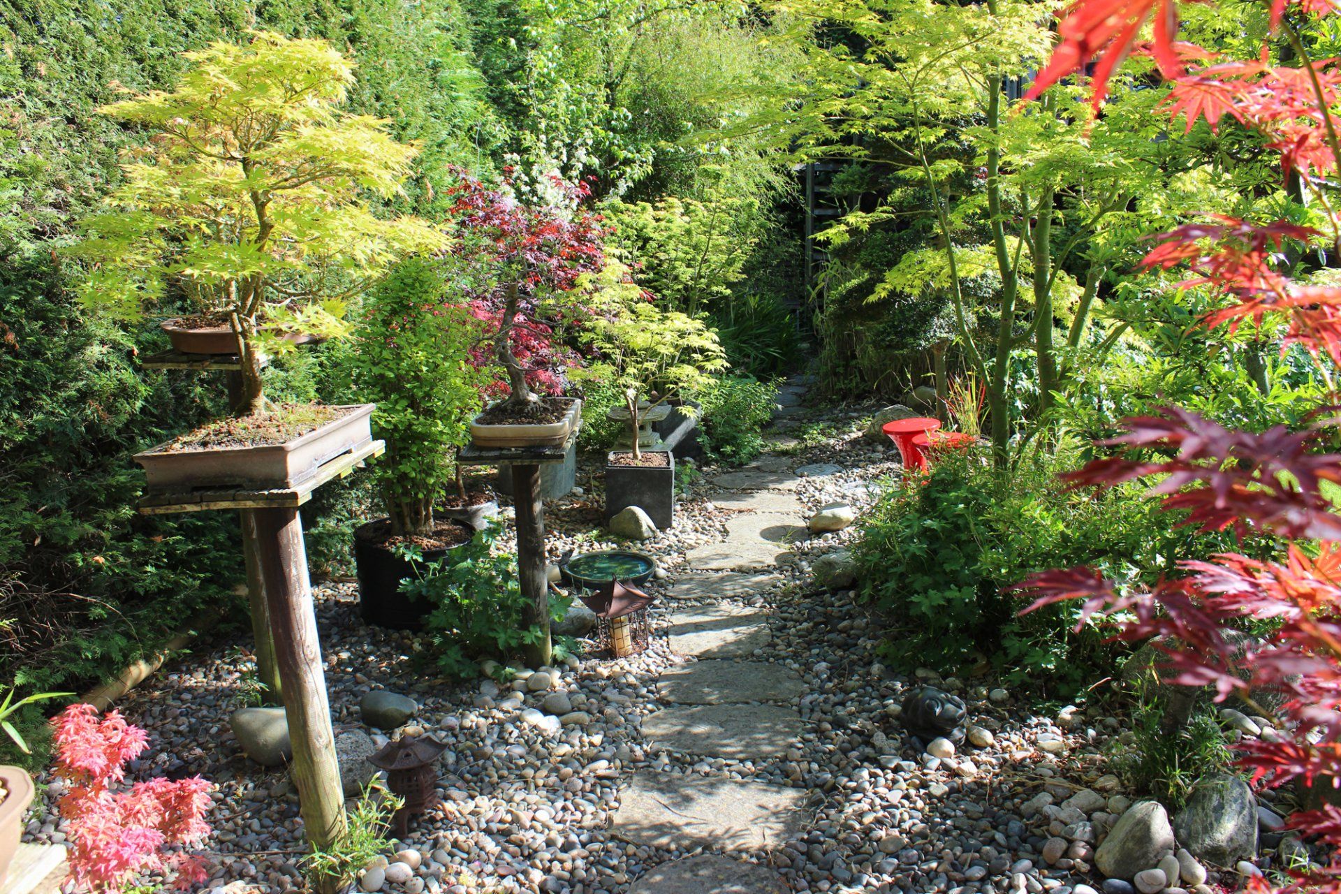 Bamboo garden