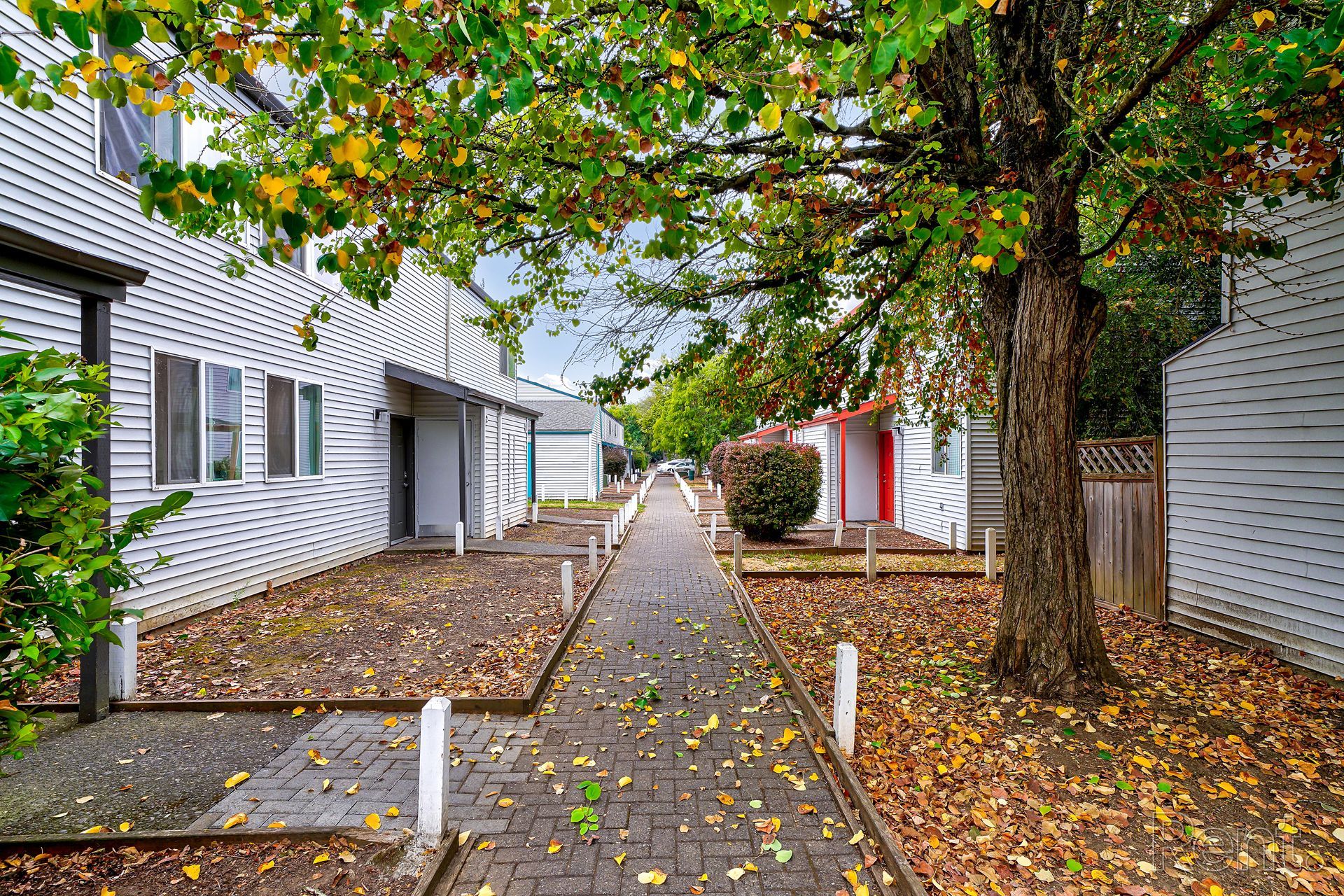pathway