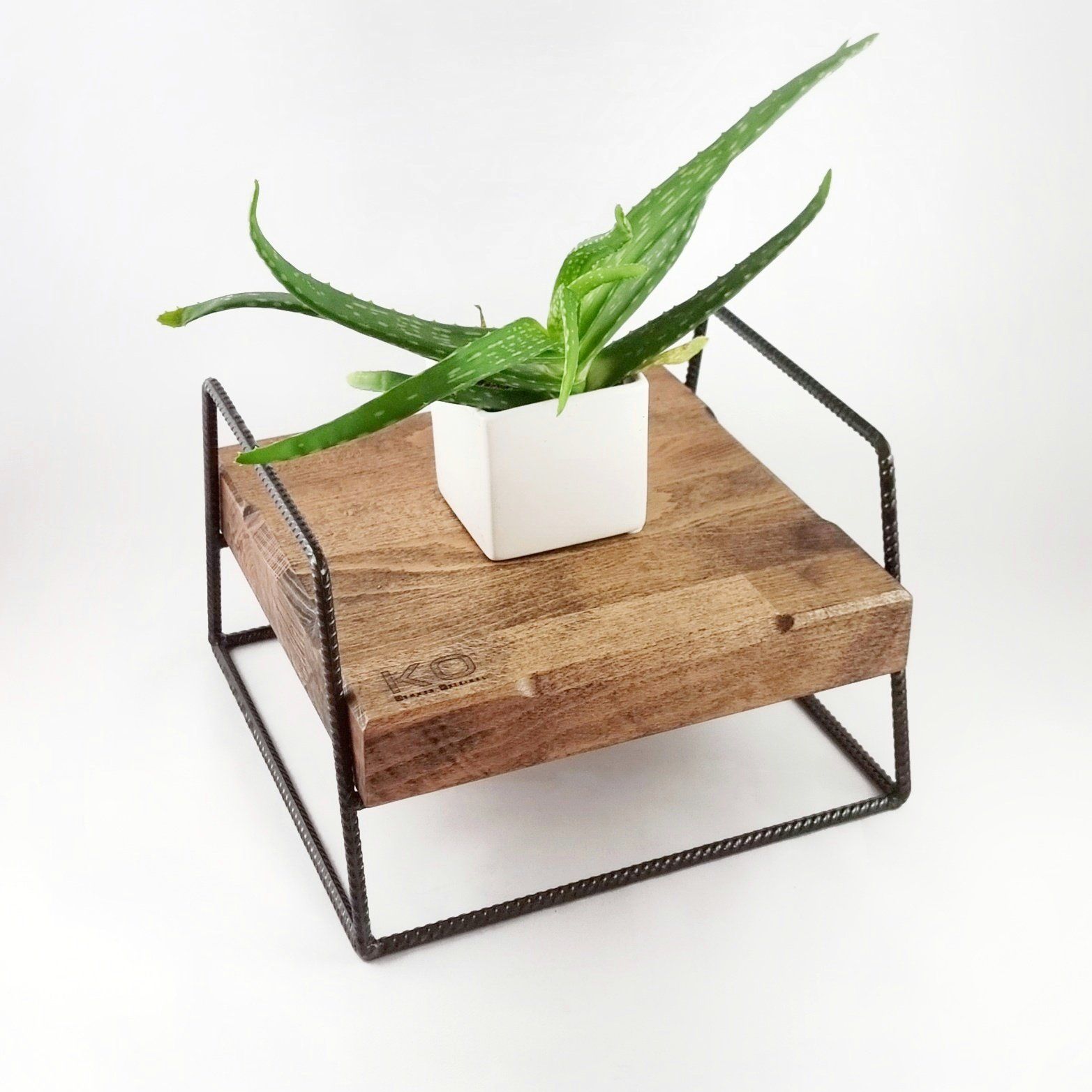 Een klein, groen aloëplantje in een witte vierkante pot, geplaatst op een rustieke houten verhoging met een dun zwart metalen frame.