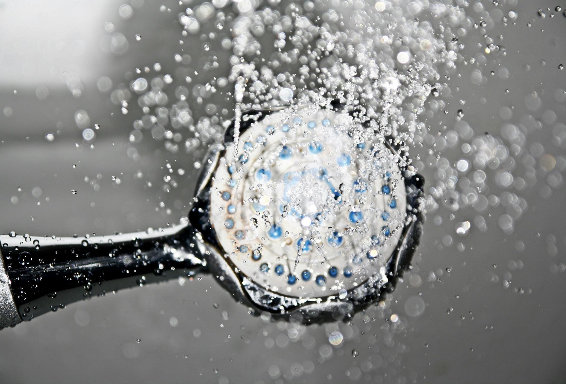Showerhead with water spraying out.