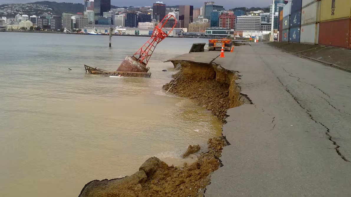 Resilience in Construction