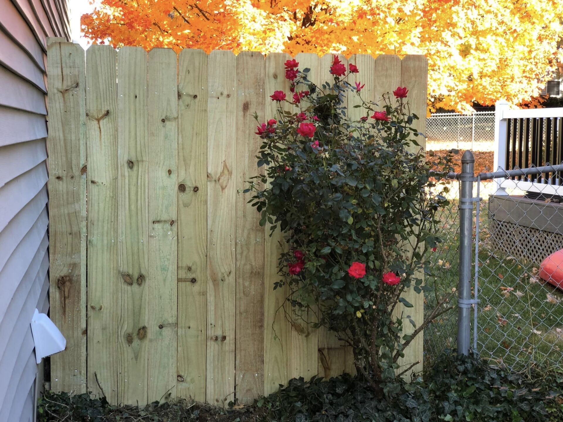 Wood Fence And Flowers — Louisville, KY — Lancaster Fencing