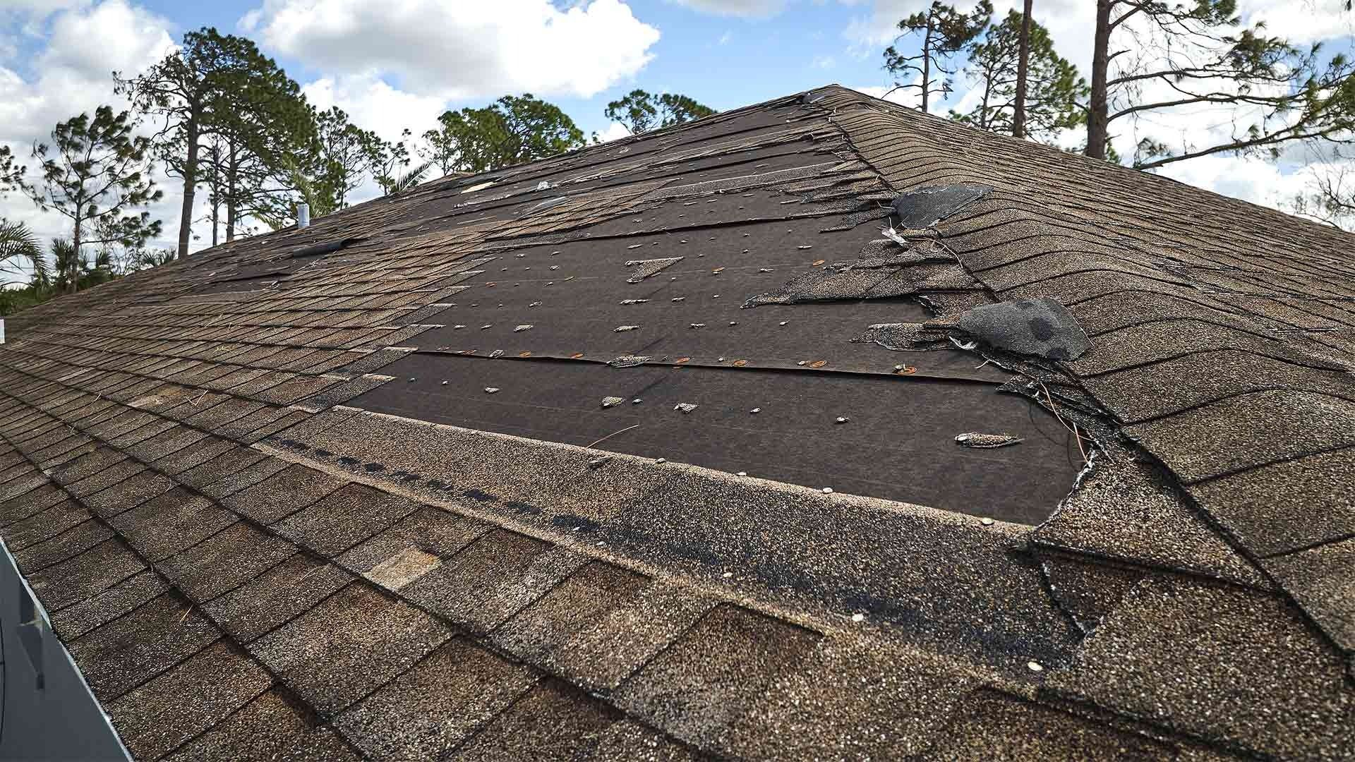 Rooftop with exposed wooden support beams; a tool and rake are resting on the beams.